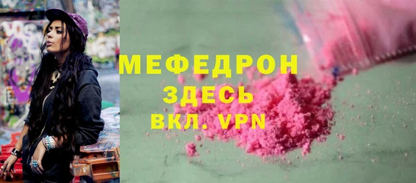 прущие грибы Ельня
