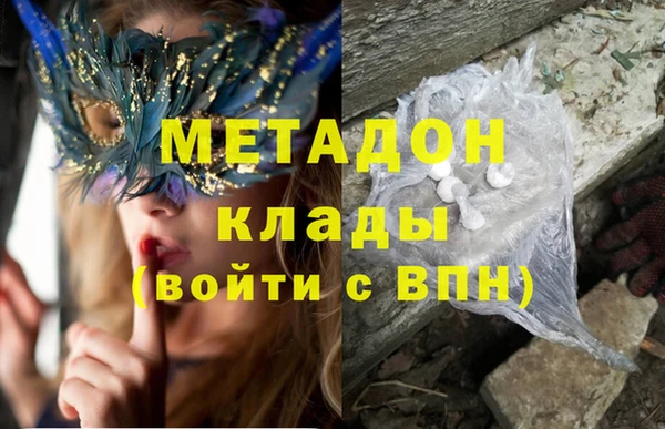 прущие грибы Ельня