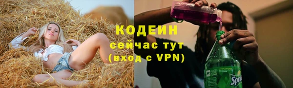 ГАЛЛЮЦИНОГЕННЫЕ ГРИБЫ Елабуга