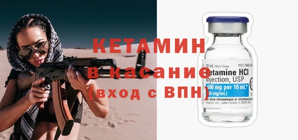 прущие грибы Ельня
