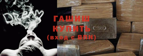 прущие грибы Ельня