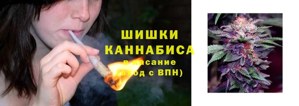 прущие грибы Ельня