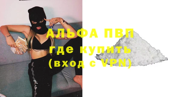 прущие грибы Ельня