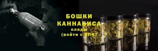 прущие грибы Ельня