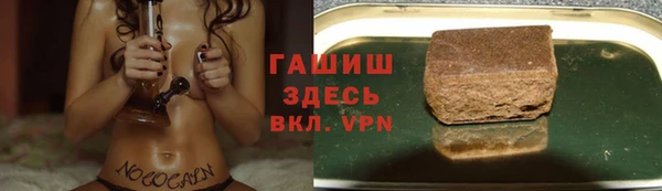 прущие грибы Ельня