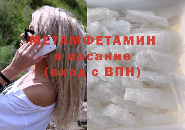 прущие грибы Ельня