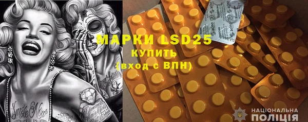 ГАЛЛЮЦИНОГЕННЫЕ ГРИБЫ Елабуга