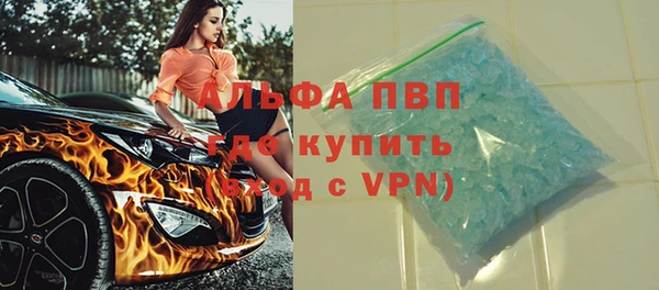 прущие грибы Ельня