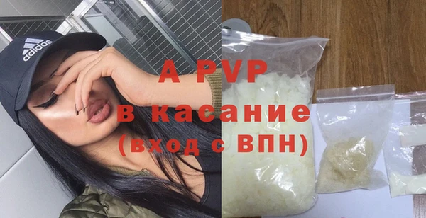 прущие грибы Ельня
