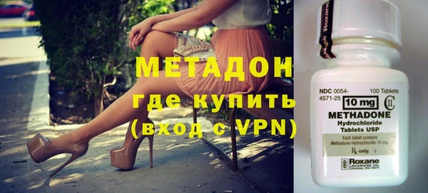 прущие грибы Ельня