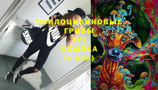 ГАЛЛЮЦИНОГЕННЫЕ ГРИБЫ Елабуга