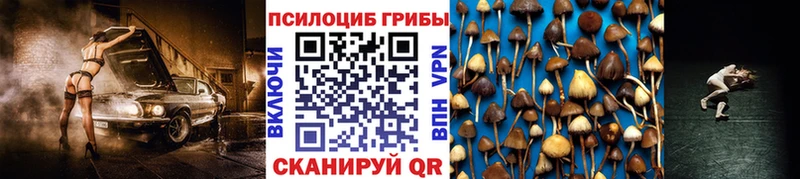 Псилоцибиновые грибы Psilocybe  как найти   mega ТОР  Каменка 