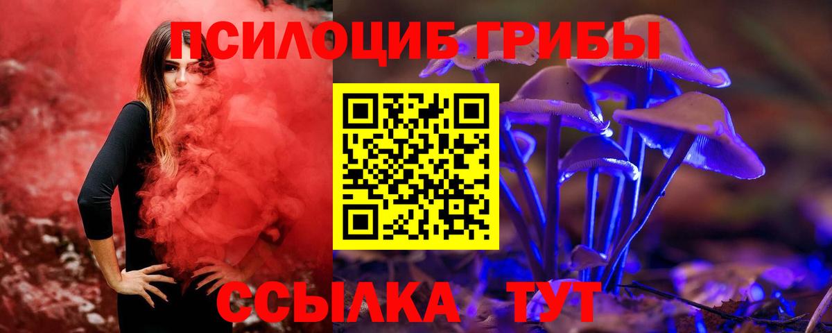 Галлюциногенные грибы Magic Shrooms  Вход с VPN  Псилоцибиновые грибы Psilocybine cubensis  Каменка 