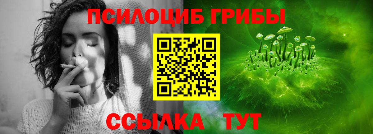 Псилоцибиновые грибы ЛСД Каменка